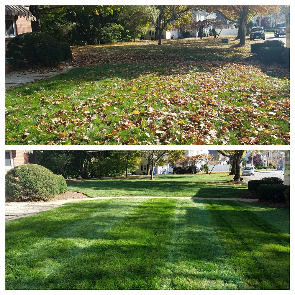 Late fall cleanup and winterization services